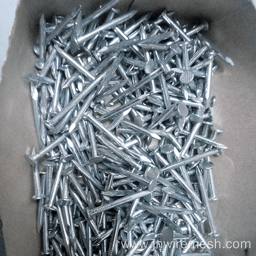 Galvanized umbrella head roofing nails with twist shank